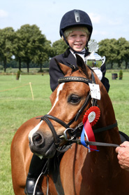 Nederlands Welsh Pony & Cob Stamboek